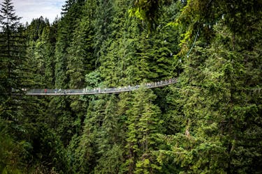 Тур для малых групп по северному Ванкуверу и подвесной мост Капилано
